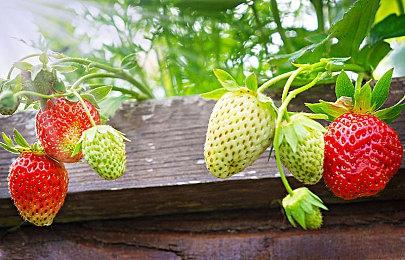 《星空》玩家超600万 成B社首发玩家最多游戏